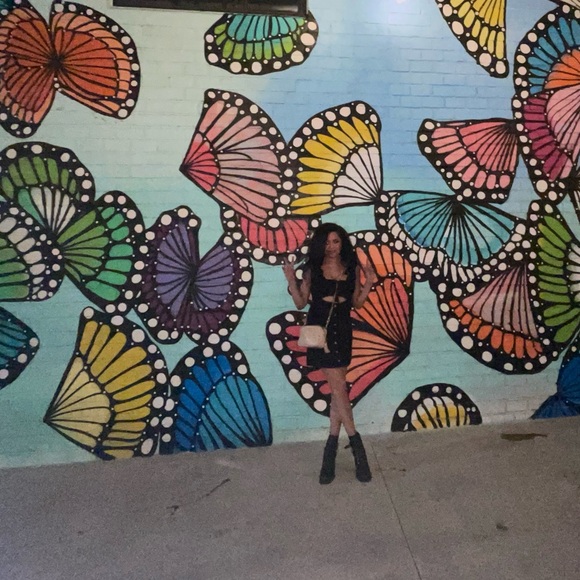 Meet your Posher, Brandy! - Picture 5 of 6